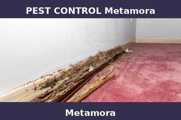 PEST CONTROL Metamora